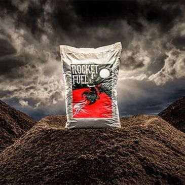 rogue rocket fuel, rogue soil, rogue blend, cannabis soil, soil, bend oregon, 