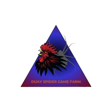 Logo with a rooster head and a spider on a blue triangle background.
