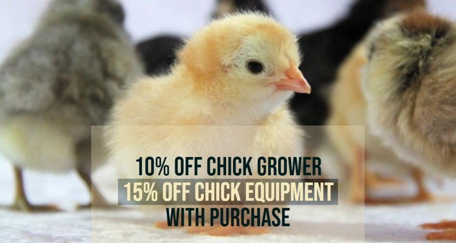 Discounts on chick grower and chick equipment with purchase.