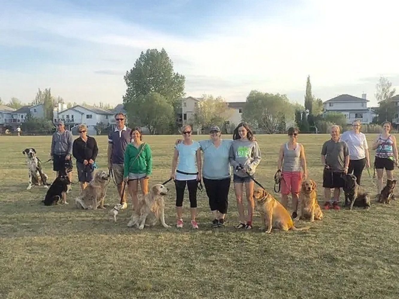 Katt the Dog Trainer Home