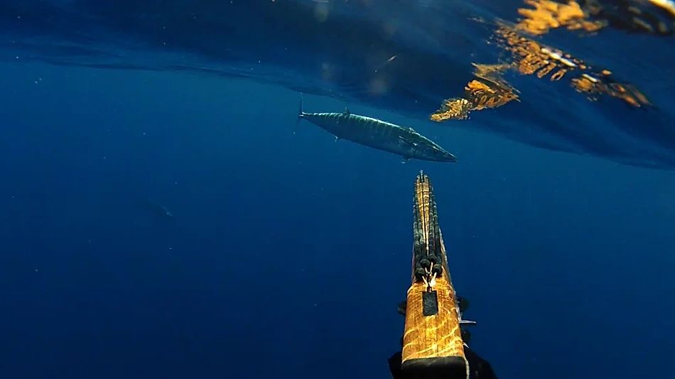 Underwater view of a speargun aimed at a fish near the water surface.