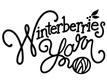 Winterberries Yarn