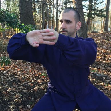 Man practicing martial arts in a forest.