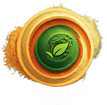 Trivya Foods