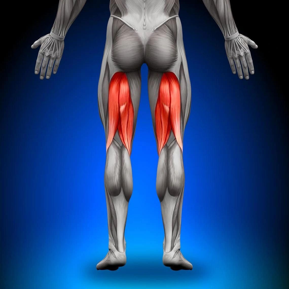 Tight Hamstrings and Lower Back Pain