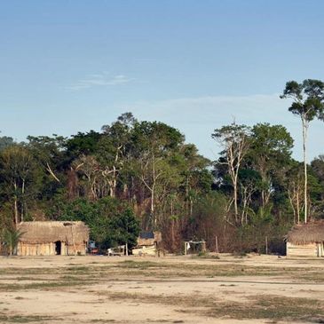 Small rustic huts near a dense forest under a clear sky.