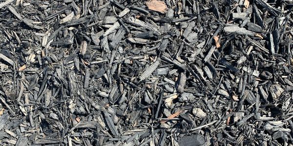 Black Dye Mulch in Orangeburg & Goshen— Organic Recycling