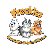 Freckles Foundation