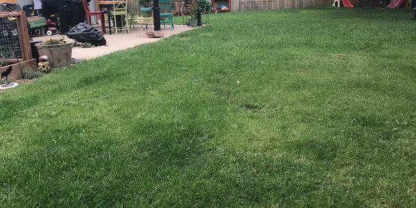 Lawn area for kids