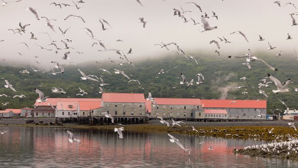 Cannery Larsen Bay, Alaska
