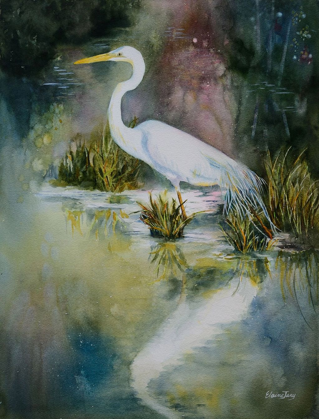 Egret's  Domain by Elaine Jary