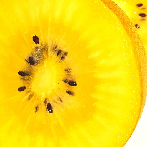 big gold kiwi thats shining