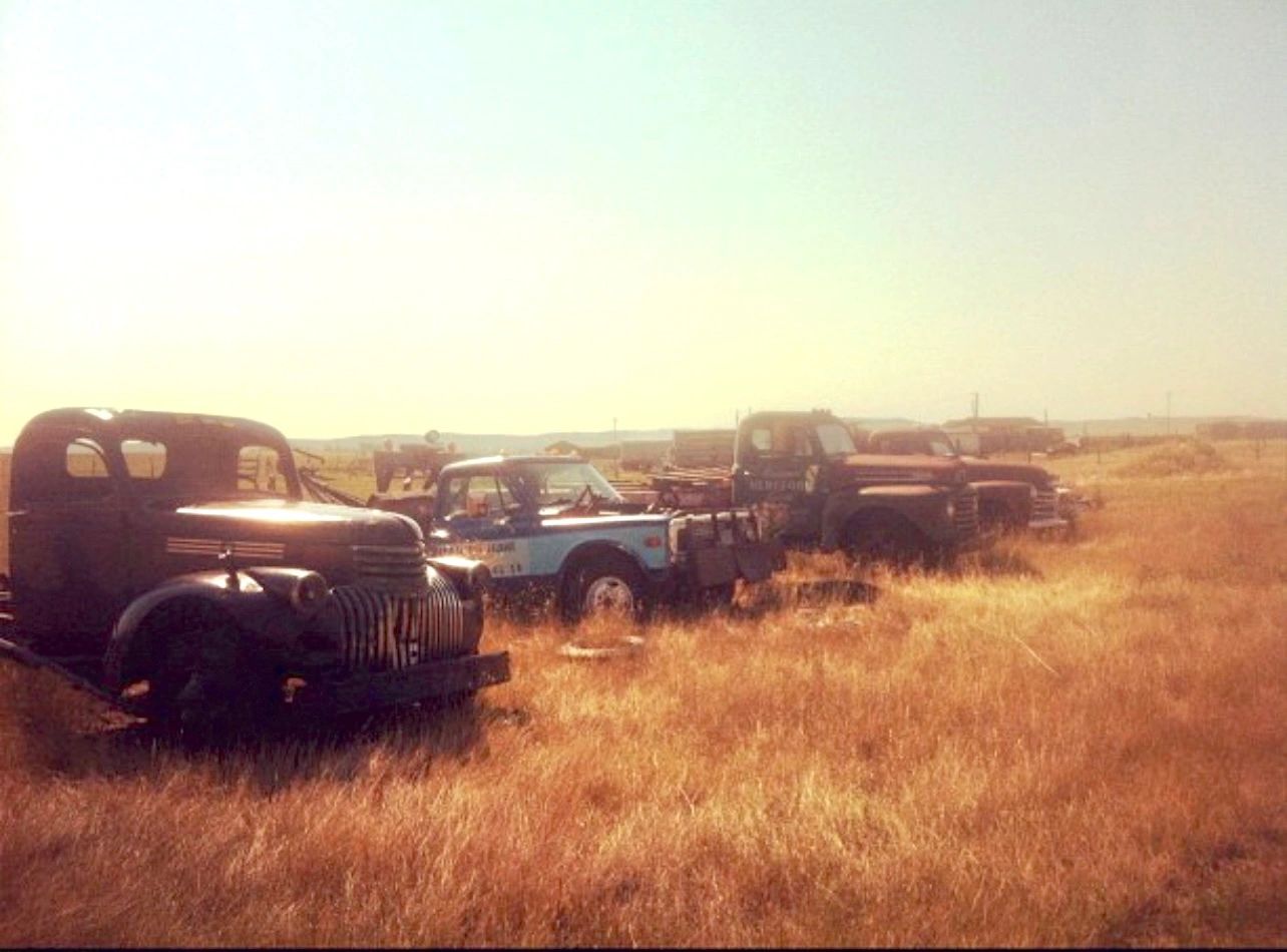 Rapid Auto Salvage image 4