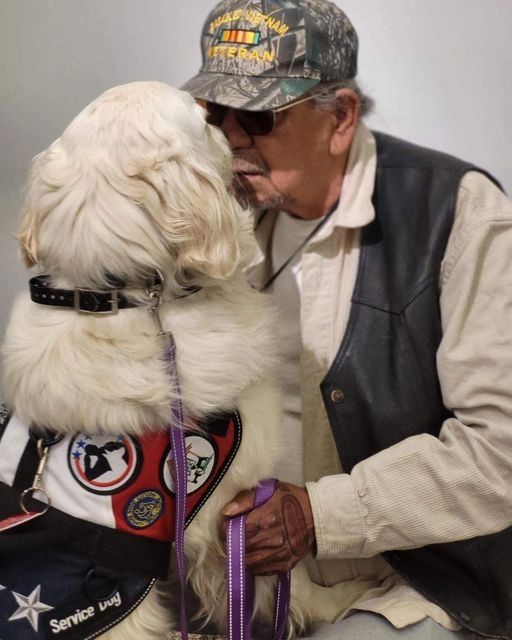 How To Get A Service Dog In Washington State