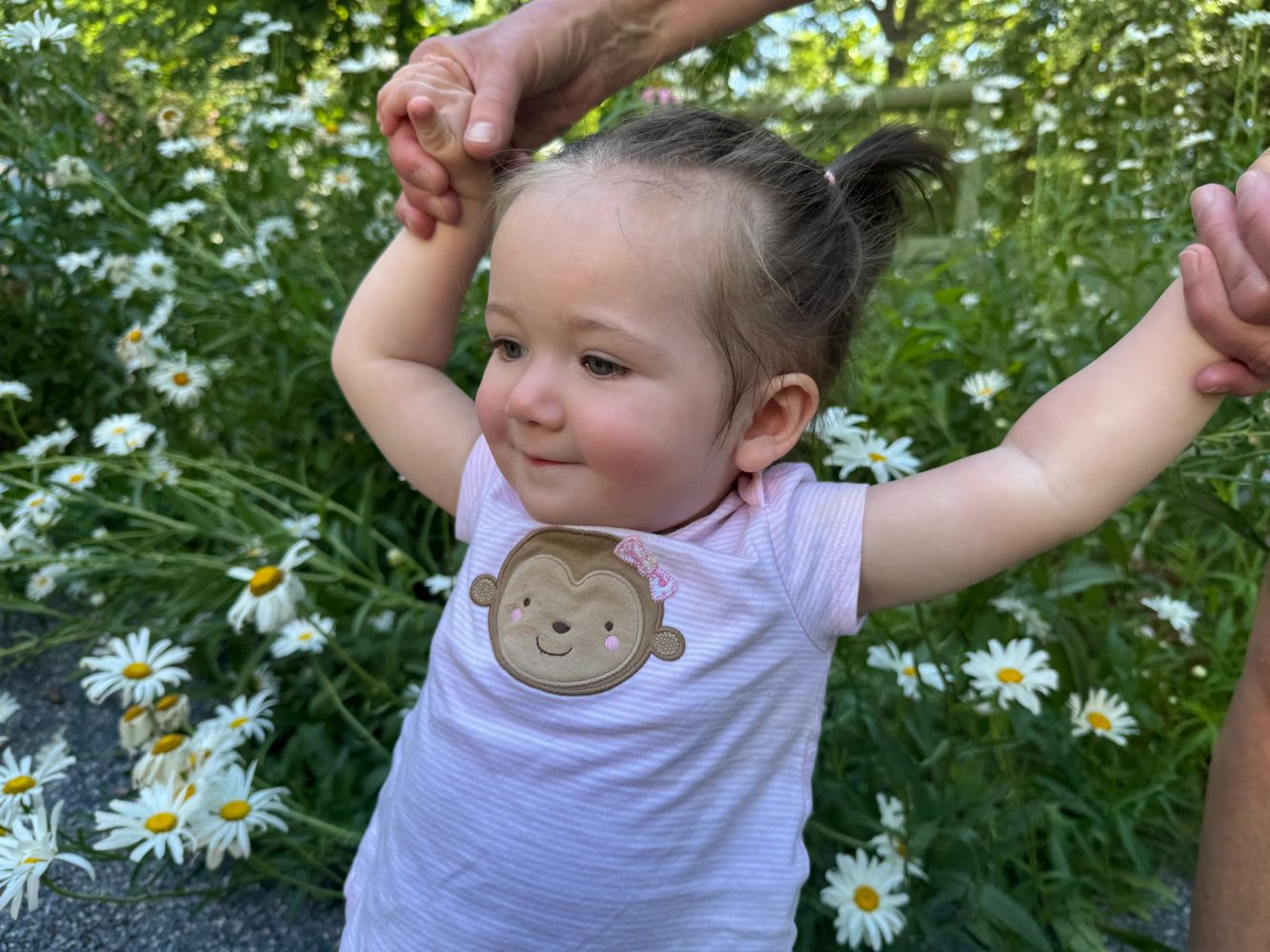 Toddler smiling outdoors holding adult hands among daisies.