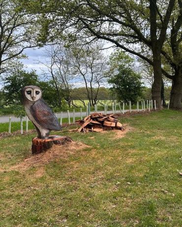Wooden owl sculpture carved from a tree stump in a grassy area.