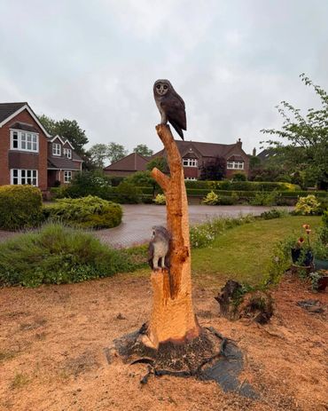 Wooden sculpture of an owl and a raccoon on a tree stump in a suburban garden.
