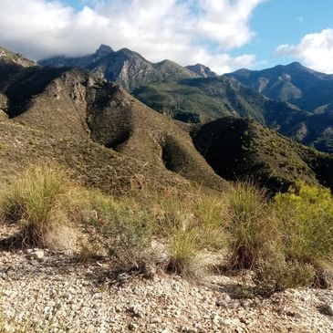 Paisaje montañoso con arbustos y cielo parcialmente nublado.