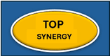 Top Synergy Consulting Services Pty Ltd
