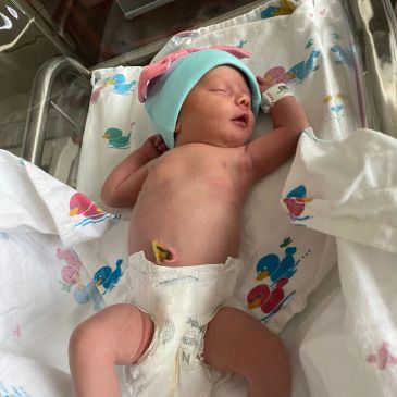 Newborn baby sleeping in hospital bassinet.