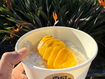 Hand holding a bowl of mango sticky rice dessert outdoors.