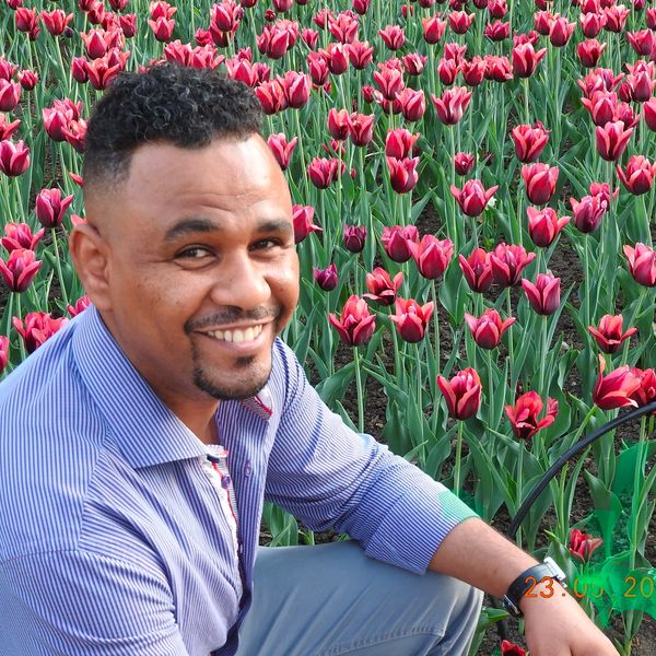 Smiling man posing beside vibrant pink tulips in a garden.