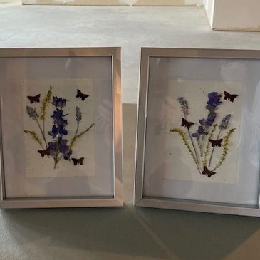 Two framed pressed flower artworks.