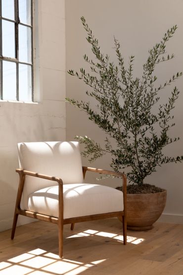 White cushioned chair next to a tall potted plant.