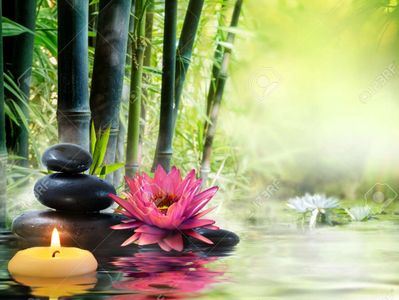 Zen stones, lotus flowers, and a candle by water in a peaceful setting.