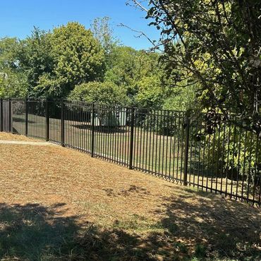 Black metal fence enclosing a backyard with trees and clear sky.