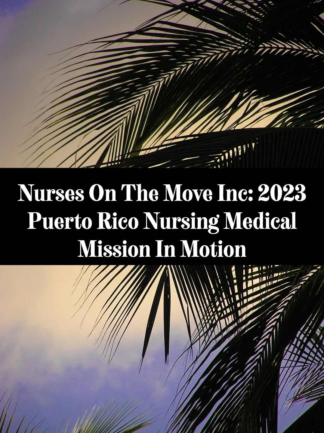 Nurses On The Move Inc 2023 Puerto Rico Nursing Medical Mission
