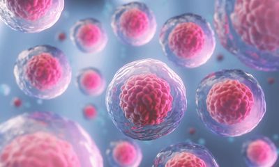 Stem cell therapy in Columbus
