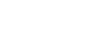 Isle Of Drones