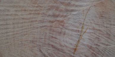 French oak barrels