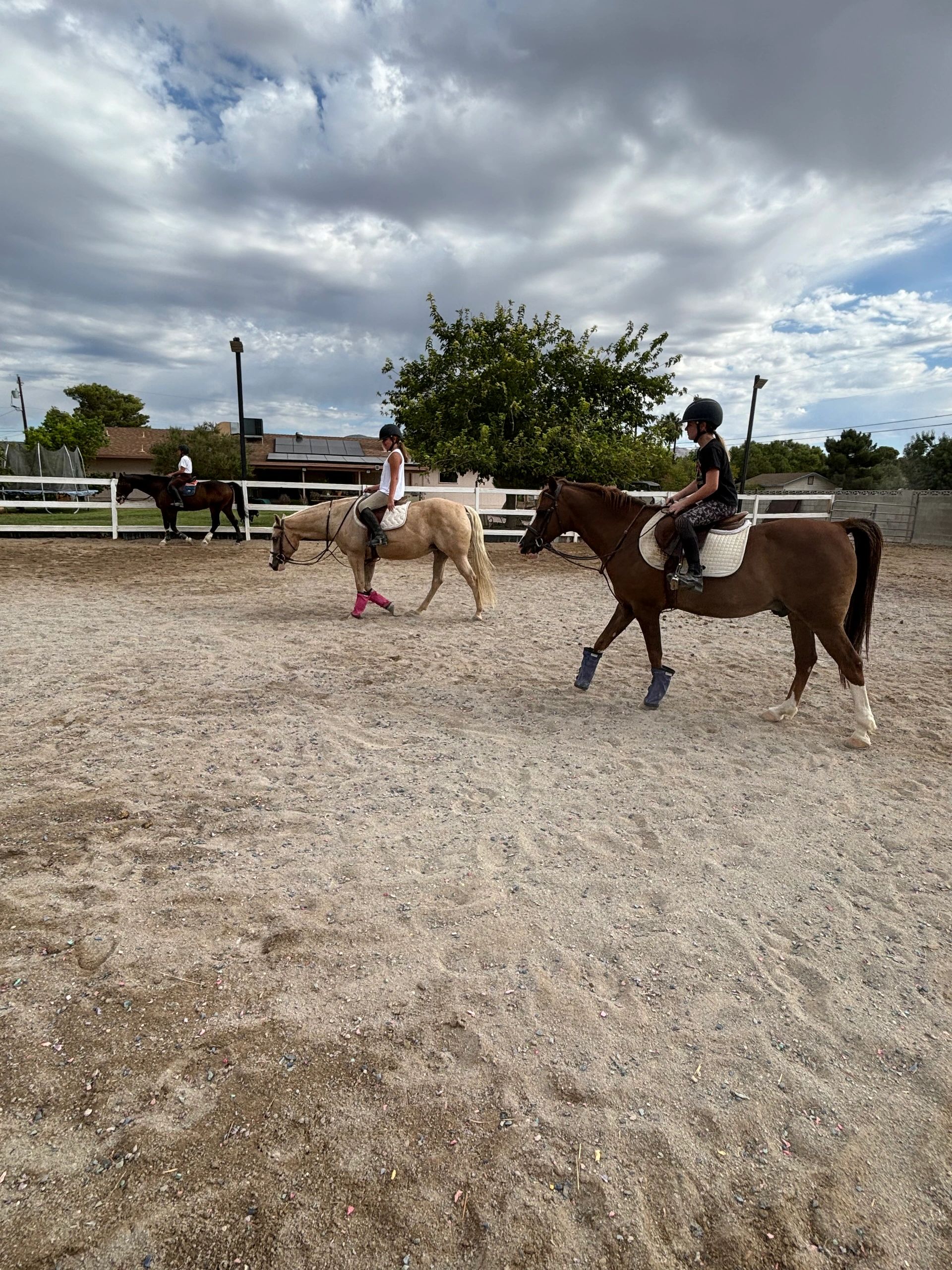 Rustiejam Ranch Contact Us | Justadreamranch