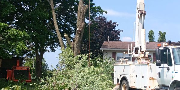 Tree removal crew using a crane and wood chipper near a home.