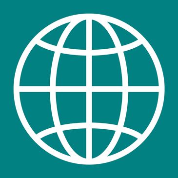 White globe icon with horizontal and vertical lines on teal background.