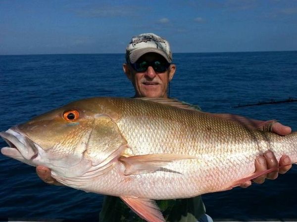 Mutton Snapper