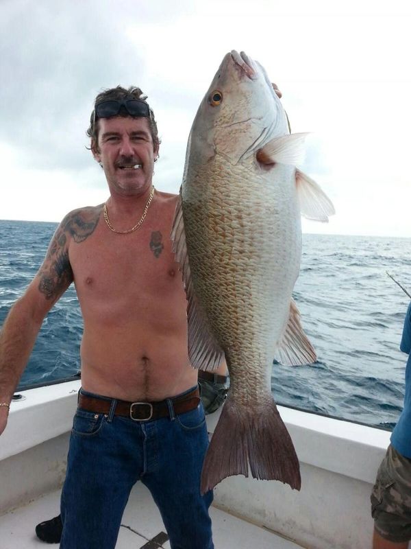   SurfRider Charters Put Us On The Mangrove Snapper