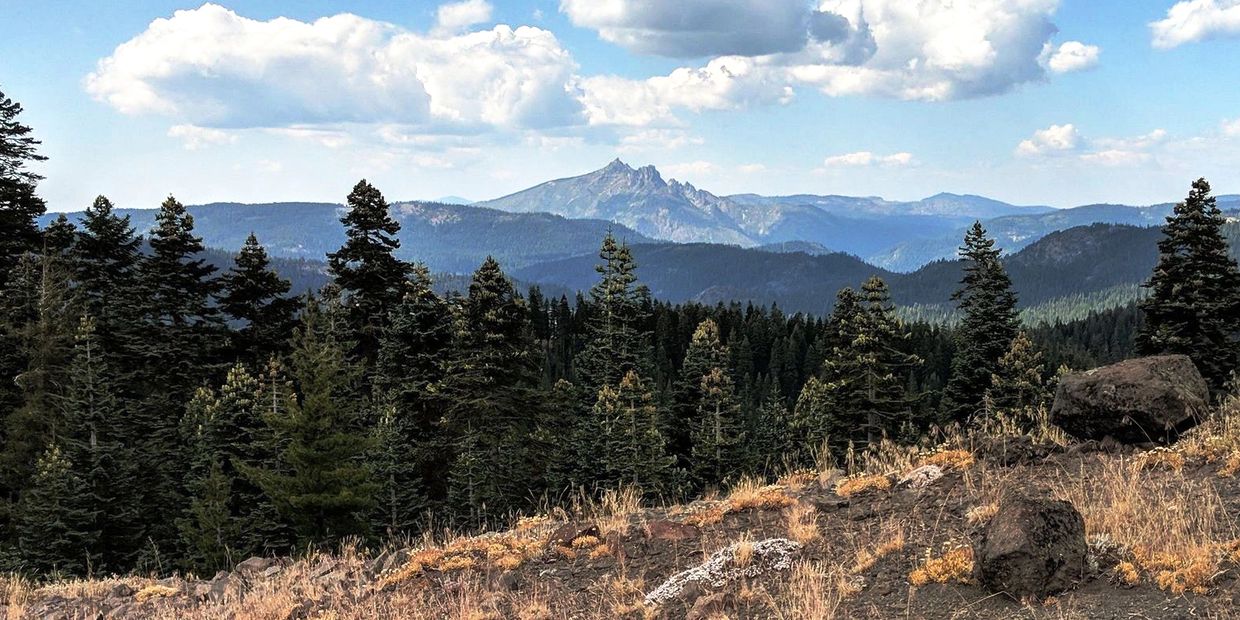 Mountain peaks and dense pine forest under a partly cloudy sky.