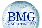 BMG CONSULTING