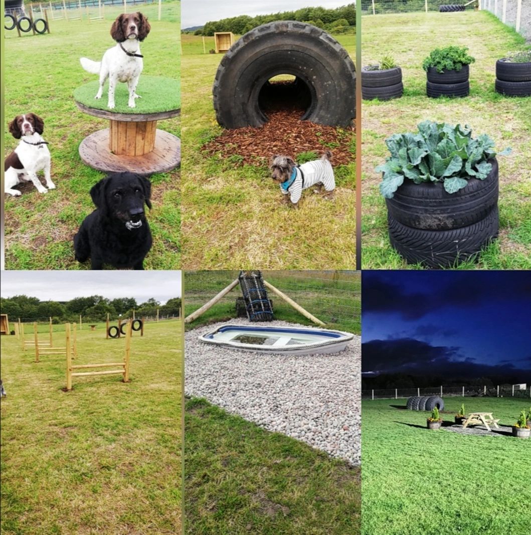 Field 2 Confidence/ Sensory (up to 3 dogs)