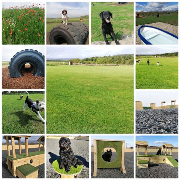 Fife Secure Dog Park