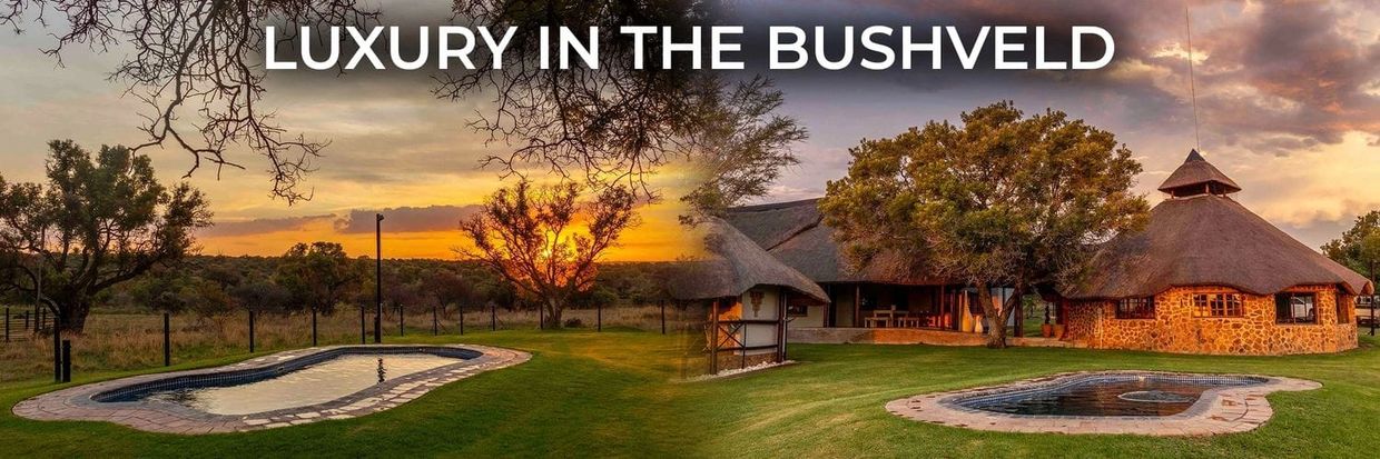 Luxury lodge with pools in the bushveld at sunset.