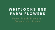 Whitlocks End Farm Flowers