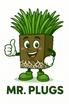 Mr.Plugs.biz