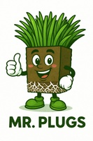 Mr.Plugs.biz