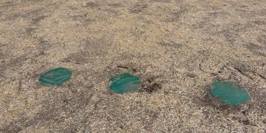 Septic tank risers paw paw mi Kalamazoo county Xtreme Landworx septic system services southwest MI