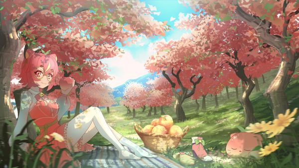 Cat girl sitting in a field of peach trees in spring. 