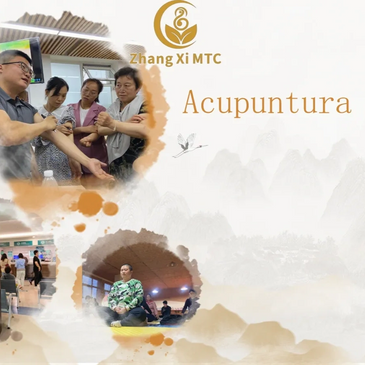 Inscribe a Curso Acupuntura Zhang .Curso Online de Acupuntura Abdominal Estilo Zhang 